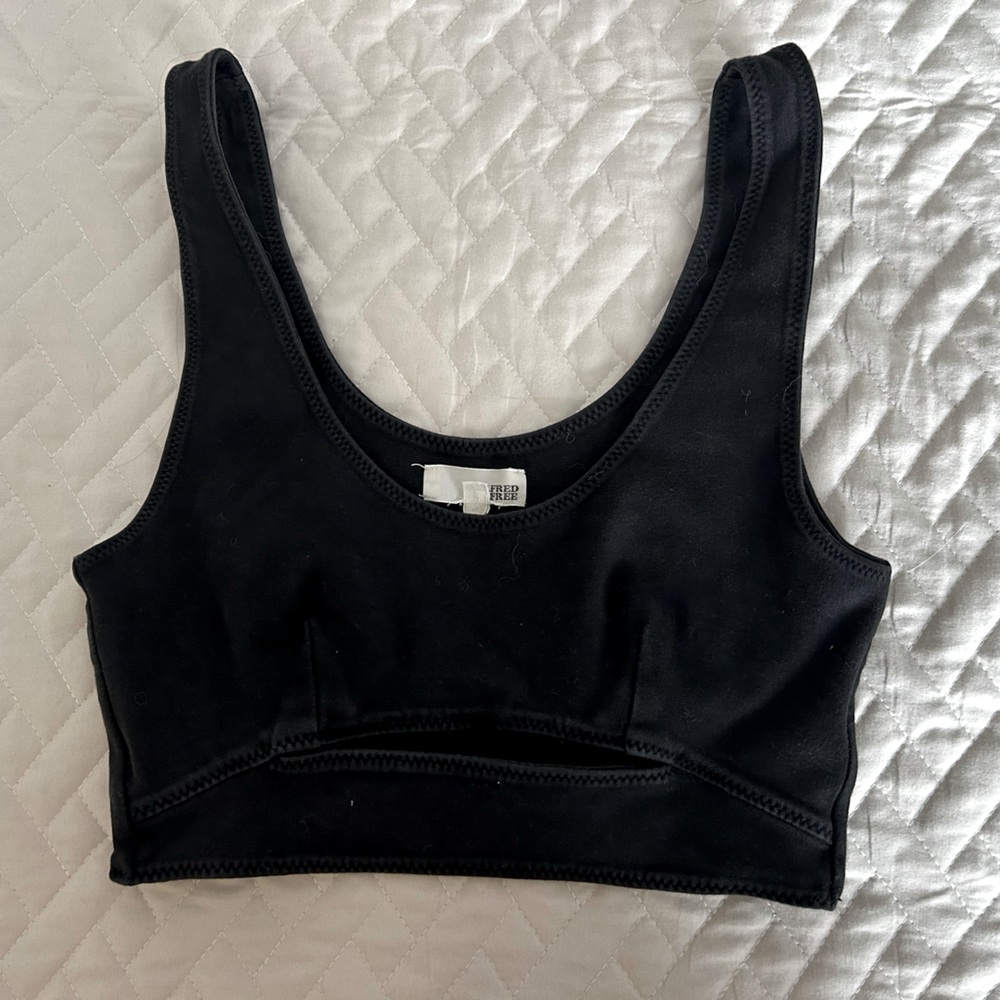 Aritizia crop top